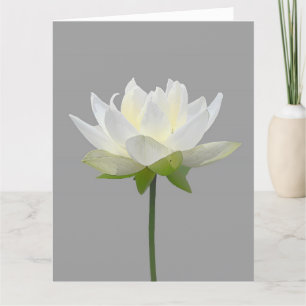 REMERCIEMENTS SYMPATHIE LOTUS FLOWER SIMPLE MESSAGE CARTE DE SAL