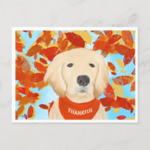 Remerciements - Tomber Dans Ma Vie Carte Postale