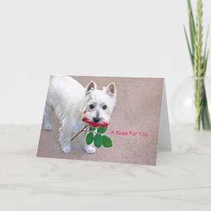 Remerciements "Un Rose pour vous" toutes les occasions carte de
