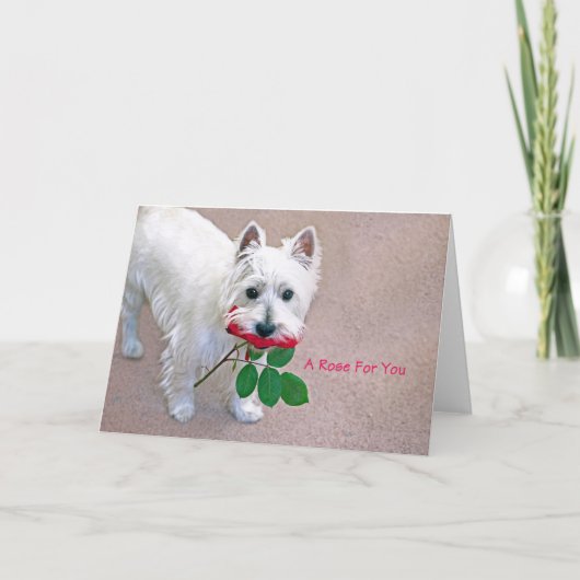 Remerciements "Un Rose pour vous" toutes les occasions carte de  (Devant)