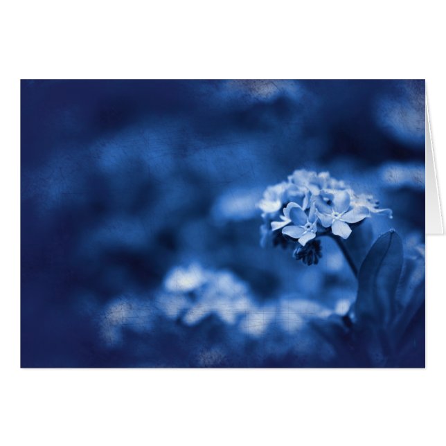 Reminiscence (Voorkant Horizontaal)