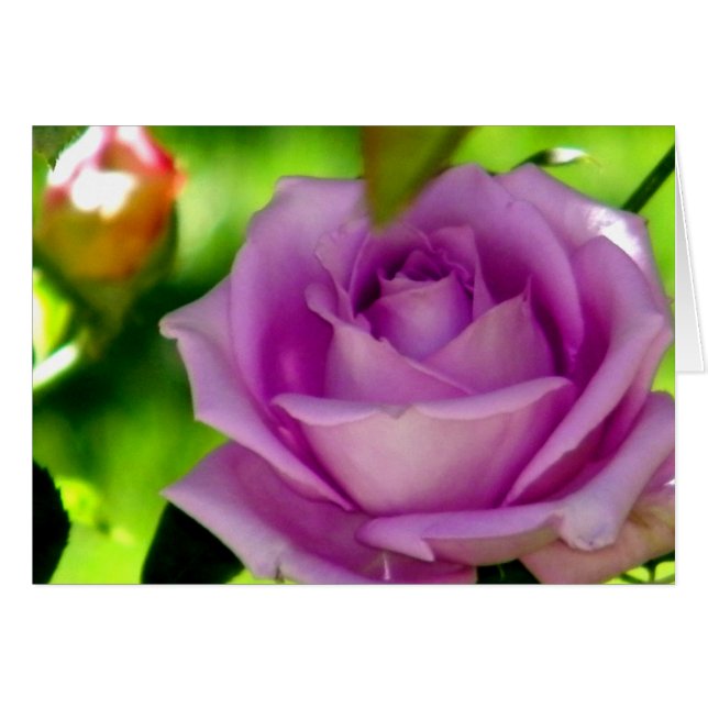 Remise (Devant horizontal)