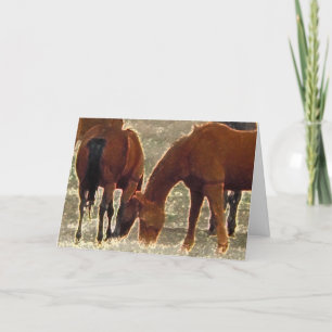 Remuda Herd Friends in de hemel Kaart