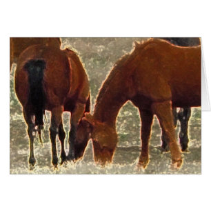 Remuda Herd Grazes - Ranch Chevaux de vache - Blan
