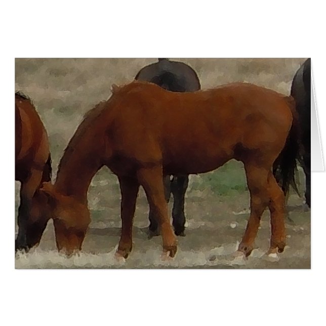 Remuda Herd Grazes - Rasbaarppaarden - Blank (Voorkant Horizontaal)