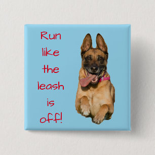 "Ren alsof de as uit is" met German Shepherd Vierkante Button 5,1 Cm