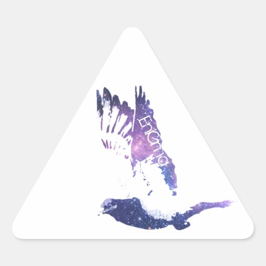 Ren de straten driehoek sticker (Voorkant)