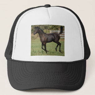 Ren-Paard-2 Trucker Pet