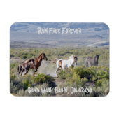 Ren voor altijd vrij magneet (Horizontaal)