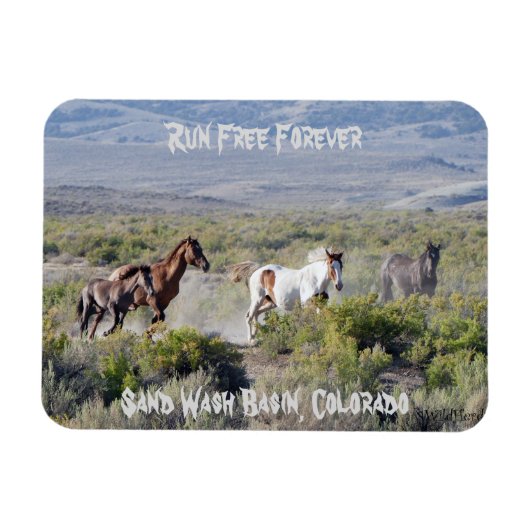 Ren voor altijd vrij magneet (Horizontaal)