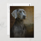 Renaissance Blue Briefkaart (Voorkant / Achterkant)