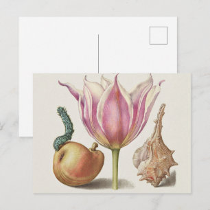 Renaissance kalligrafiekunst Roze Tulp en Peer Briefkaart
