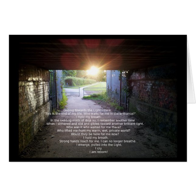 Renaissance par Fredi Stewart (Devant horizontal)