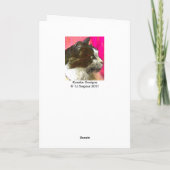 Renaissance Solstice kaart (Achterkant)