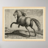Renaissance Stallion Spanish Horse by Stradanus Poster (Voorkant)