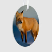 Renard Brown (devant)
