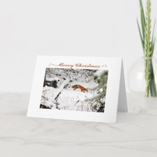 Renard dans la neige hiver photo carte Noël
