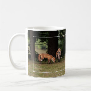 Renard Famille Sortir Blanc Frontière Café Mug