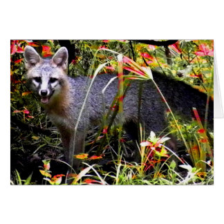 RENARD GRIS SOUS L'ARBRE