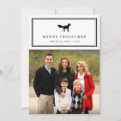 Renard hivernal | Carte photo de vacances (Devant)