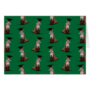 Renard le plus intelligent de la ville