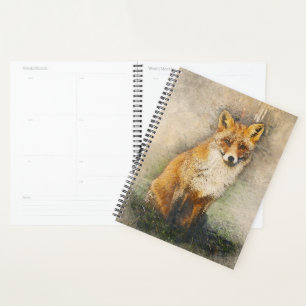 Renard rouge