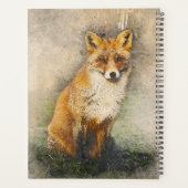Renard rouge (Dos)