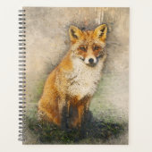 Renard rouge (Devant)