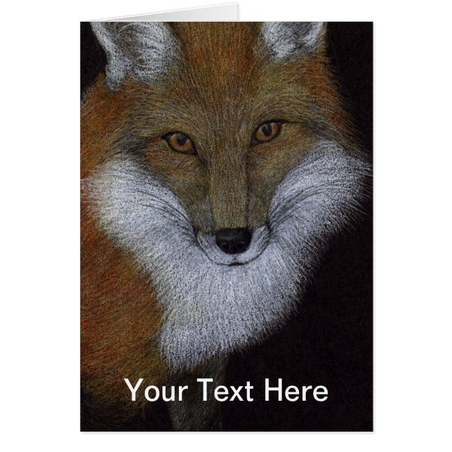 Renard rouge (Devant)