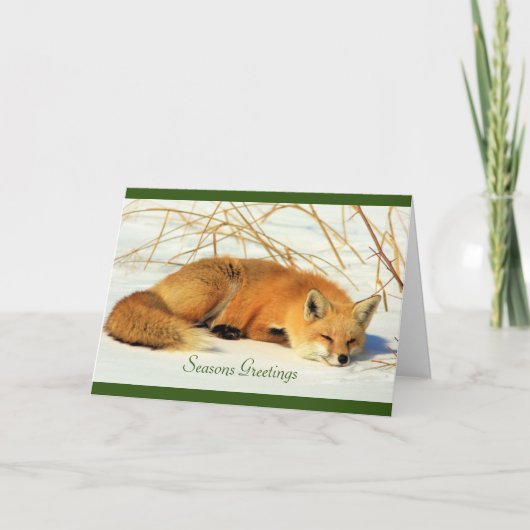 Renard rouge dans la carte de vacances pliée neige (Devant)