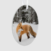 Renard rouge de la neige blanche (devant)