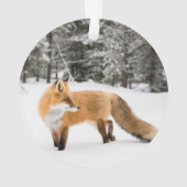 Renard rouge de la neige blanche (dos)