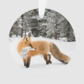 Renard rouge de la neige blanche (devant)