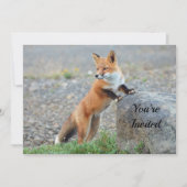 Renard rouge permanent Invitation anniversaire (Devant)