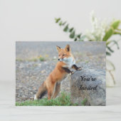 Renard rouge permanent Invitation anniversaire (Debout devant)