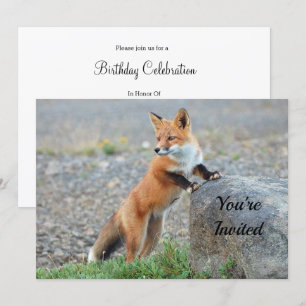 Renard rouge permanent Invitation anniversaire