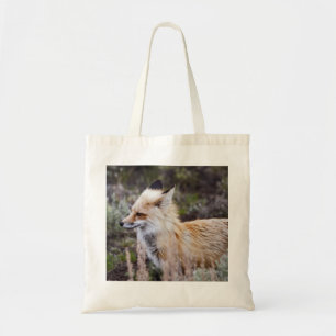 Renard rouge - Sac