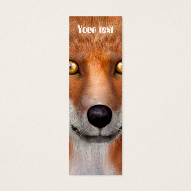 Renard roux (Devant)