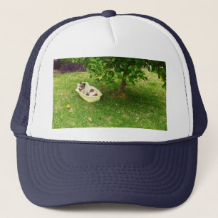 Renard Terrier à l'heure du bain, Casquette de cam
