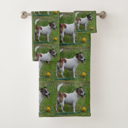 Renard Terrier Avec Sa Boule Jaune, Serviette De B (En situation)