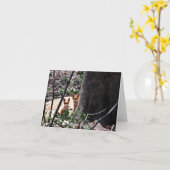 Renards de carte de note de région boisée (Fleur jaune)