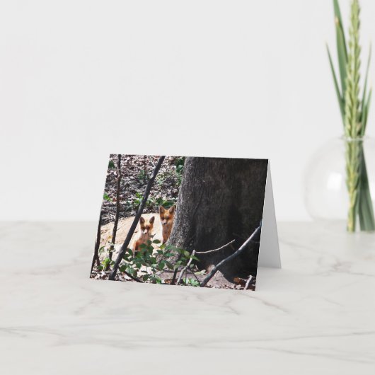 Renards de carte de note de région boisée (Devant)