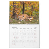 Renards Rouges Dans Le Calendrier Automne (Feb 2027)
