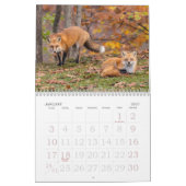 Renards Rouges Dans Le Calendrier Automne (Jan 2027)
