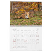 Renards Rouges Dans Le Calendrier Automne (Mar 2027)