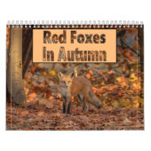 Renards Rouges Dans Le Calendrier Automne (Protection)