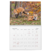 Renards Rouges Dans Le Calendrier Automne (Jan 2026)