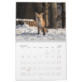 Renards Rouges Tout Au Long De L'Année Calendrier (Jan 2026)