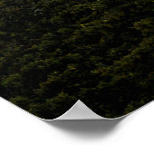 Rencontre Bigfoot - Redimensionnable Poster (Coin)