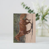 Rendend paard. briefkaart (Staand voorkant)